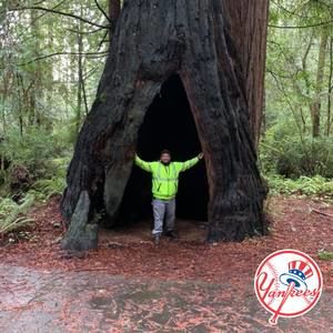 Meet your Posher, Elmer